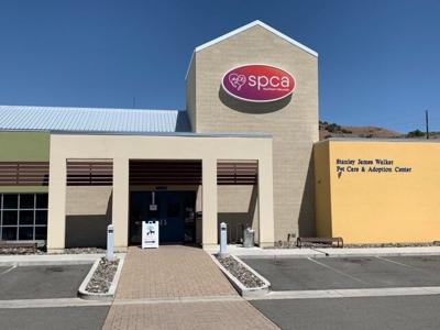 SPCA of Northern Nevada and Reno Iron Works calls for public support in building crisis