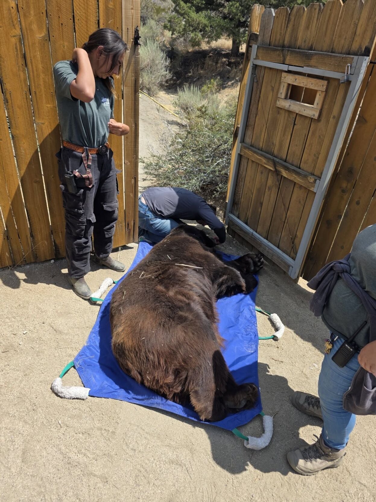 NDOW assists with Animal Ark evacuation during wildfires