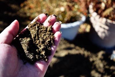 Grow Your Own, Nevada