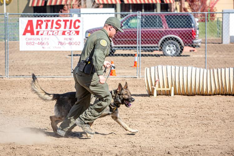 K9Competition3.jfif