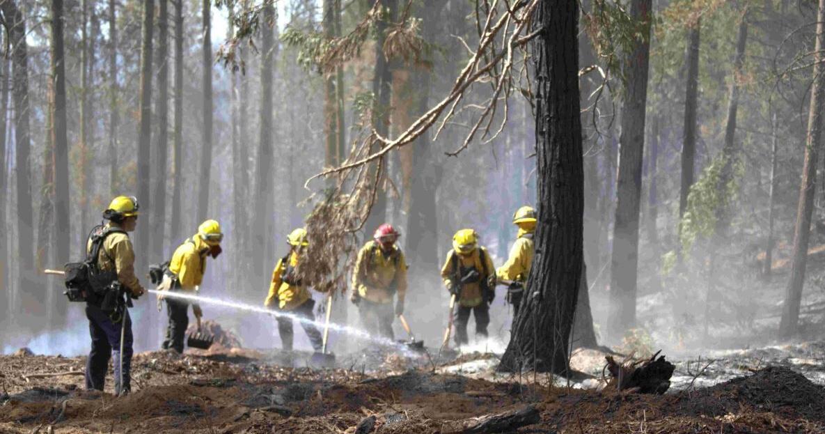 Fire Issue Coyote Fire 90% Contained; CAL FIRE issues final official update ...