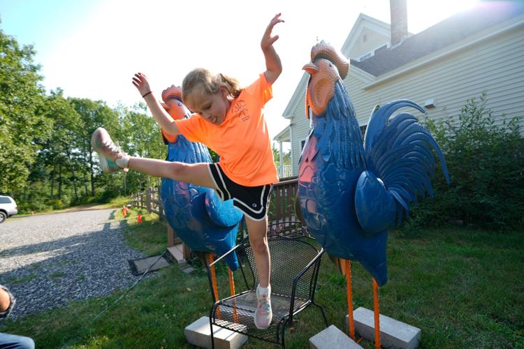 Maine Chicken Fight