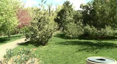 Science Behind Our Green Vegetation