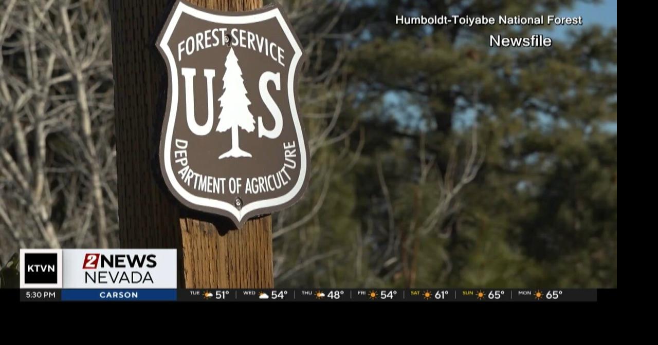 U.S. Forest Service impacted by federal firings | Local News | 2news.com