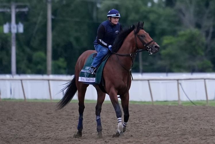 Black Eyed Susan Horse Racing