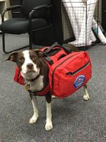 TMFPD Hosts Open Houses for Fire Prevention Month