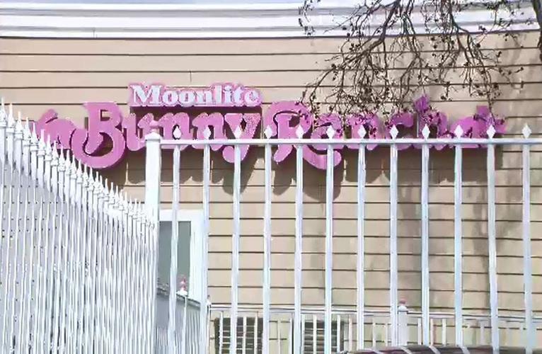 Lyon County Voters to Weigh In On Fate of Legal Brothels This November