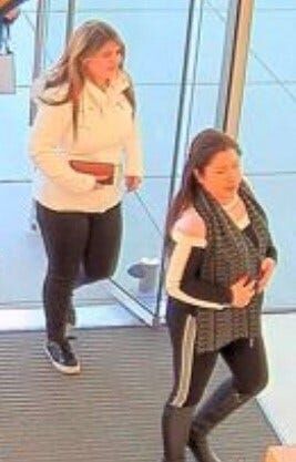 Washoe County Deputies Seek Suspects in Stolen Purse Case