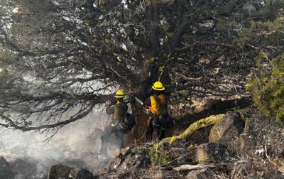 Steer Fire