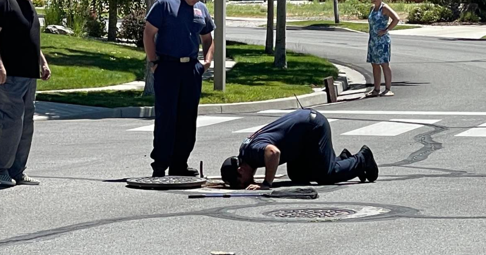 Sparks Firefighters rescue baby ducks from storm drain | News | 2news.com