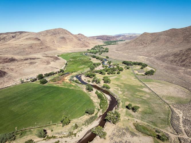 Drone above New Park.jpg