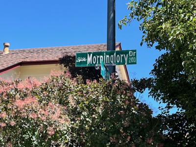 Morninglory Drive house fire