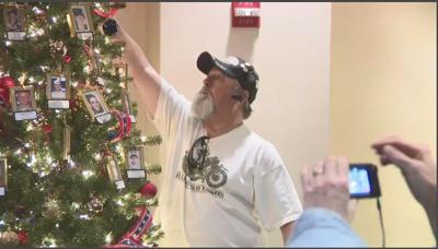 Taking Down the Gold Star Family Tree