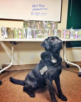 Truckee Police mourn passing of retired K9 unit Trax