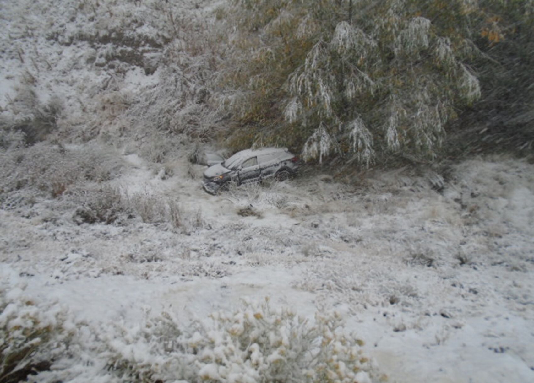 fatal crash near Austin, Nevada