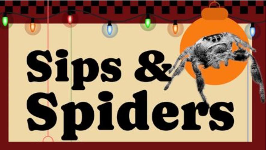 Sips & Spiders