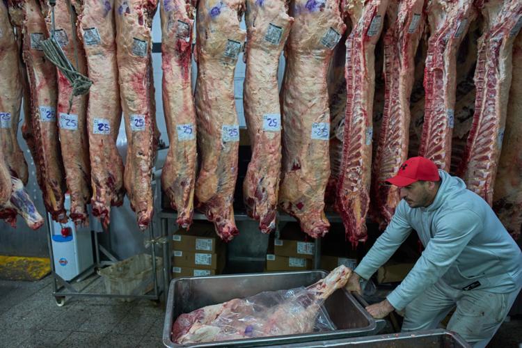 Argentina Meat