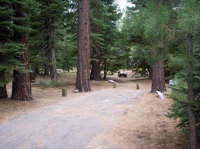 Fallen Leaf Campground To Close For Plague Treatment