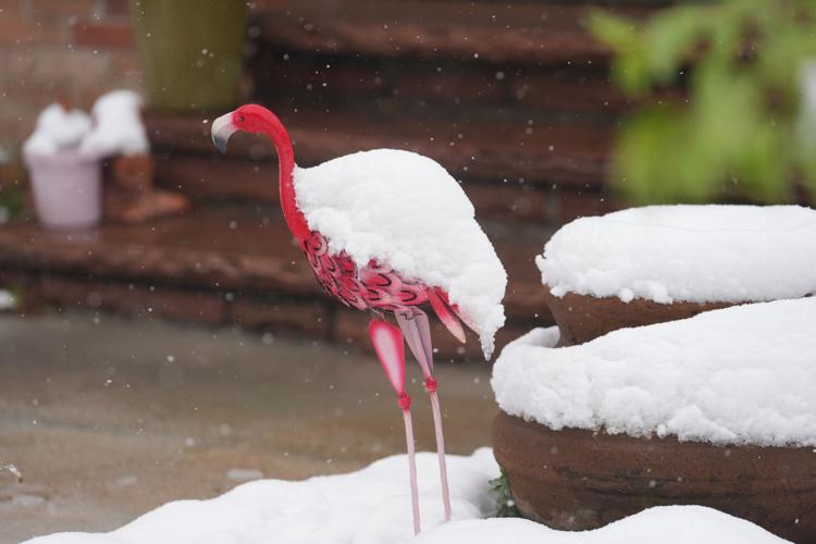 West Snow