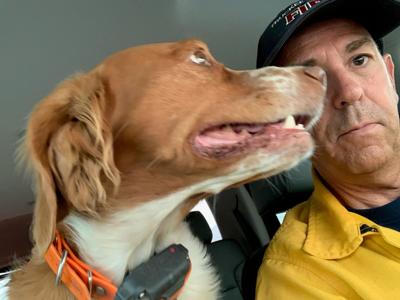 Firefighters Protect Drivers Surrounded By Flames on Highway, Rescue Lost Dog During Loyalton Fire This Weekend