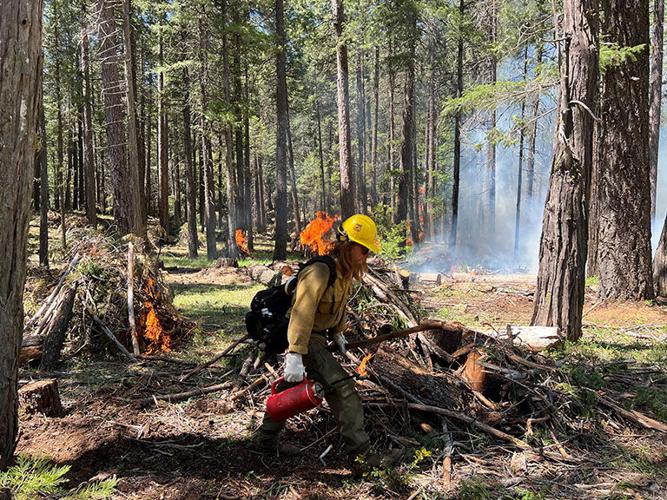 050725 Paradise Lake Prescribed Burn 2-R.jpg