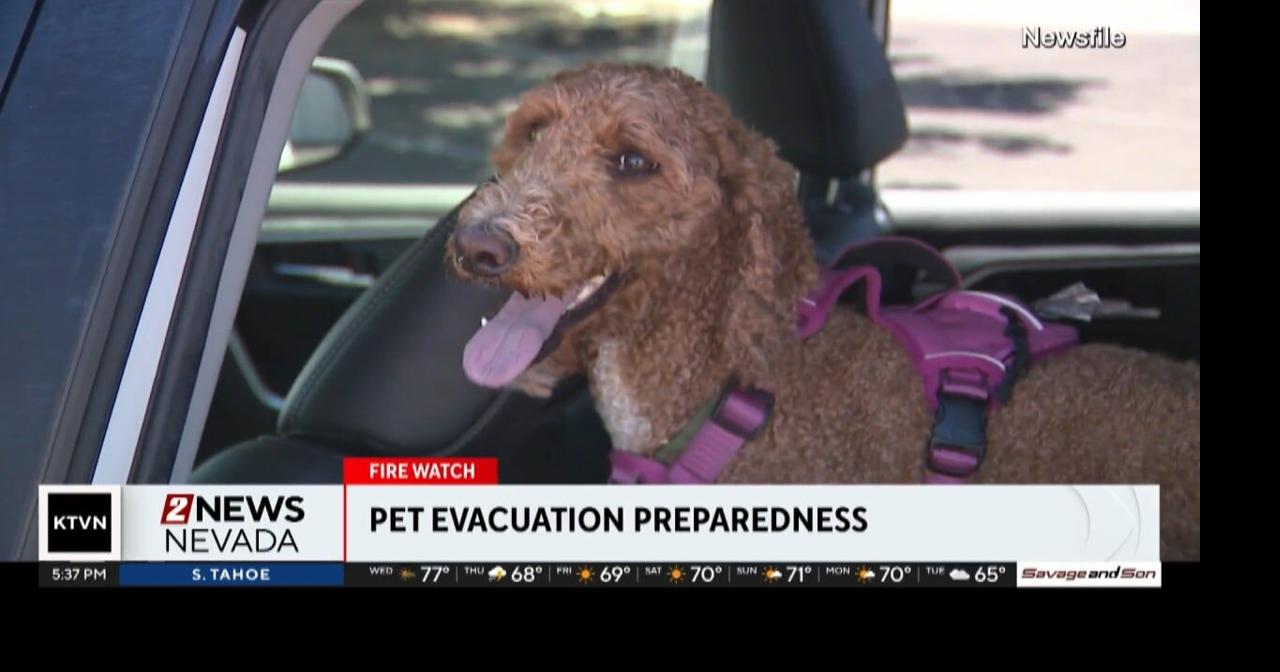 Evacuating pets in wildfires