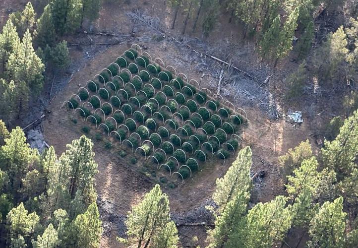 Lassen Marijana 1.JPG