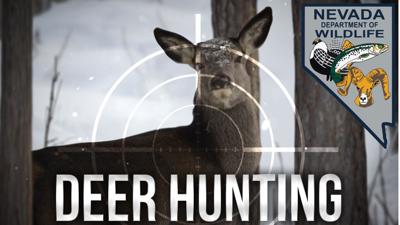 NDOW illegal hunting