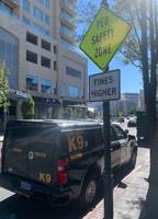 City of Reno Designates Second Pedestrian Safety Zone