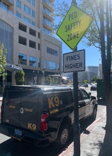 Pedestrian Safety Zone