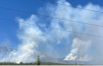 U.S Forest Service Controlled Burn