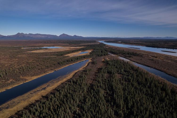 Climate Arctic Jungle