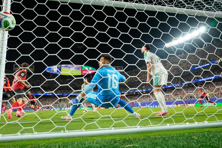 Austria Algeria WCup Soccer