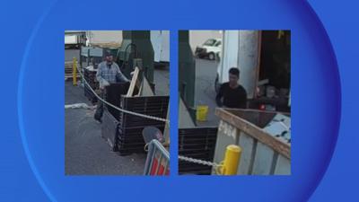 Grand Larceny Suspects