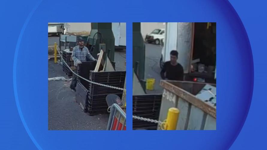 Grand Larceny Suspects