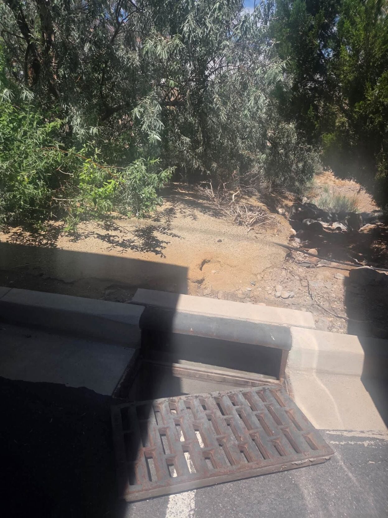 Storey County duck rescue 2