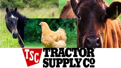 Fernley Tractor Supply Feed swap event