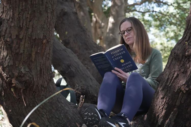 CORRECTION US Forest Bathing