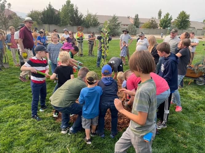 Volunteers Plant 60 Trees at Horizon View Park