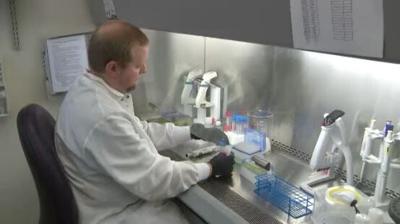 Testing Mosquitoes for Disease