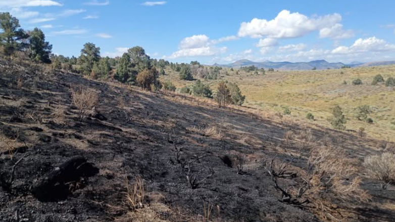 Eagle Fire fully contained