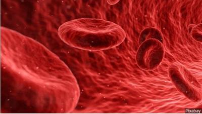 Researchers Ask if Survivor Plasma Could Prevent Coronavirus