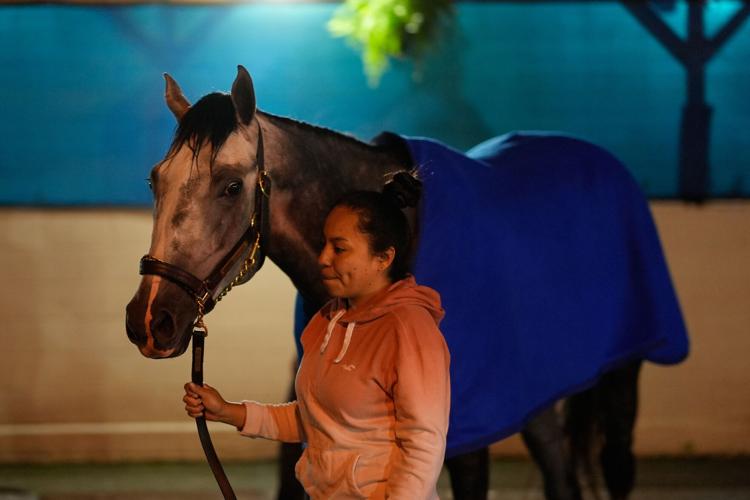Kentucky Derby Horse Racing