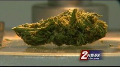 Renewed Battle Over Legalized Weed in Nevada Coming Soon