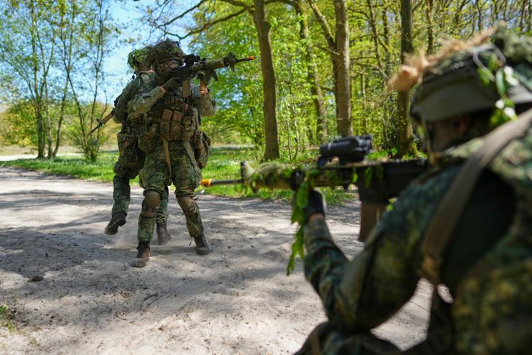 Netherlands New Recruits