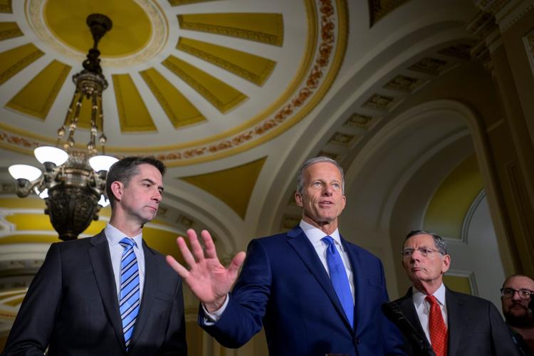 Senate Republicans