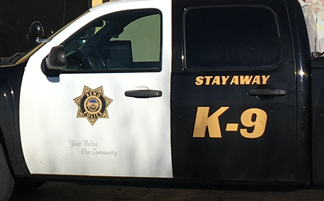 Reno Police Seek Duo in Early Morning Robbery
