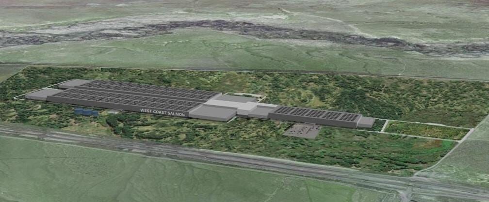 Salmon Farm Set To Be Built in Pershing County