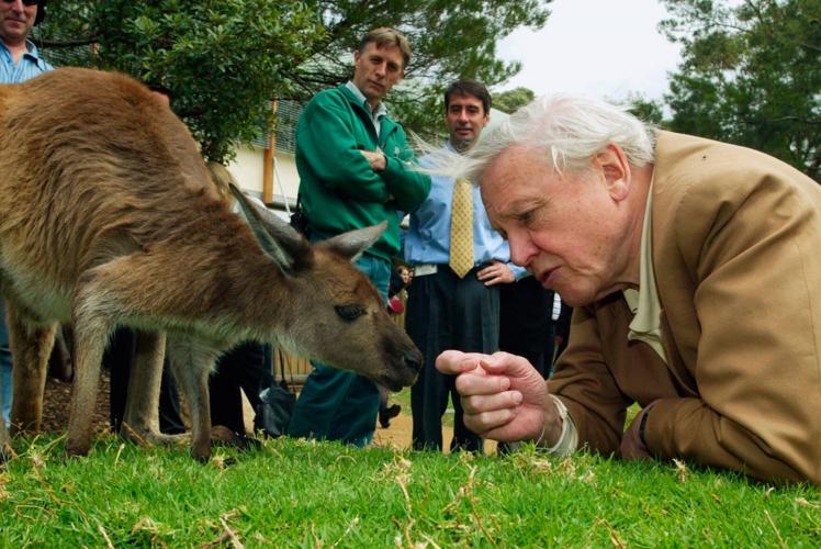 Britain Attenborough 100th Birthday