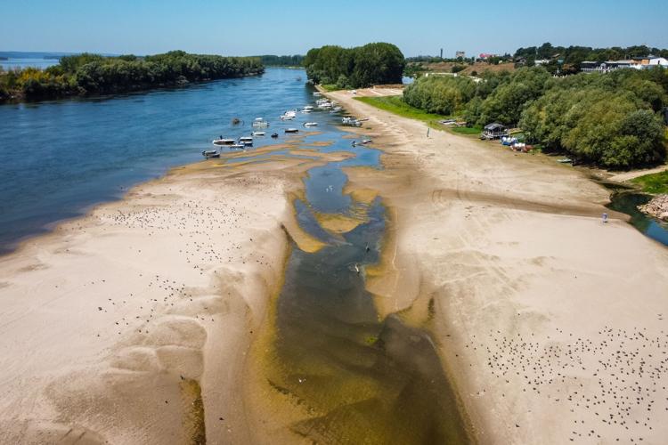 Climate El Nino